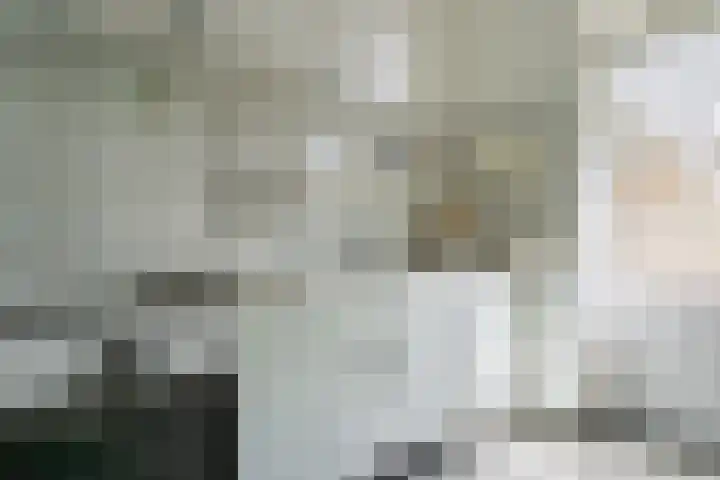 Adriaan Poirtersstraat 12 Bergen op Zoom thumbnail 5
