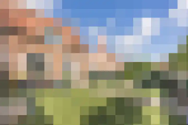Adriaan Poirtersstraat 7 Bergen op Zoom thumbnail 29