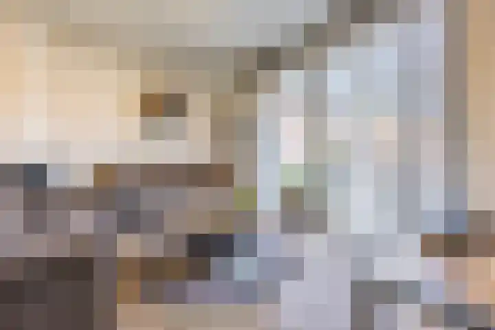 Adriaan Poirtersstraat 7 Bergen op Zoom thumbnail 7