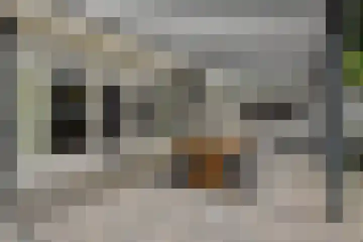 Adriaan Poortersstraat 13 Vught thumbnail 28