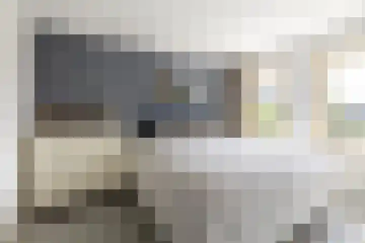 Adriaan Poortersstraat 19 Vught thumbnail 16