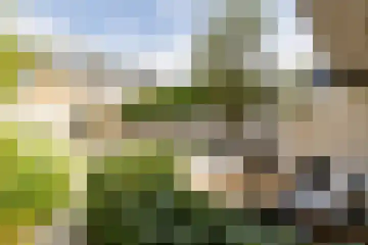 Adriaan Poortersstraat 19 Vught thumbnail 34