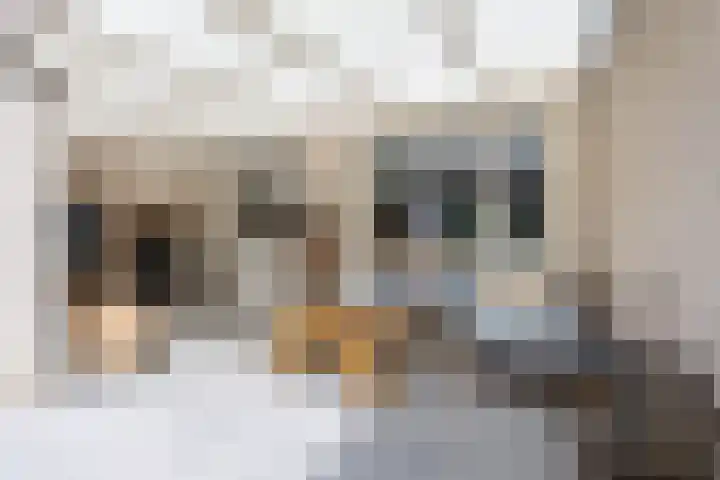 Adriaan Poortersstraat 19 Vught thumbnail 4