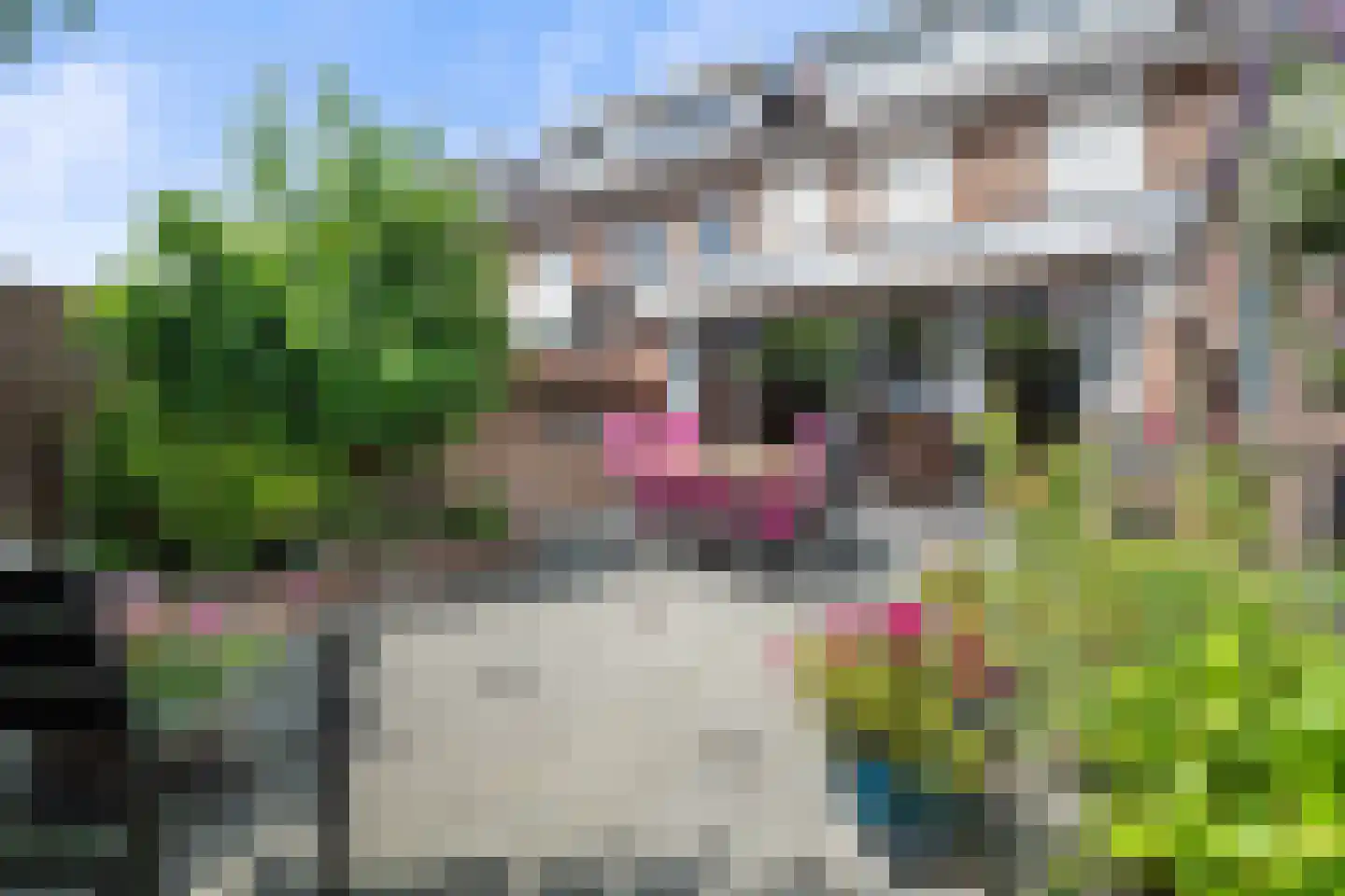 Adriaan Poortersstraat 41 Vught thumbnail 39