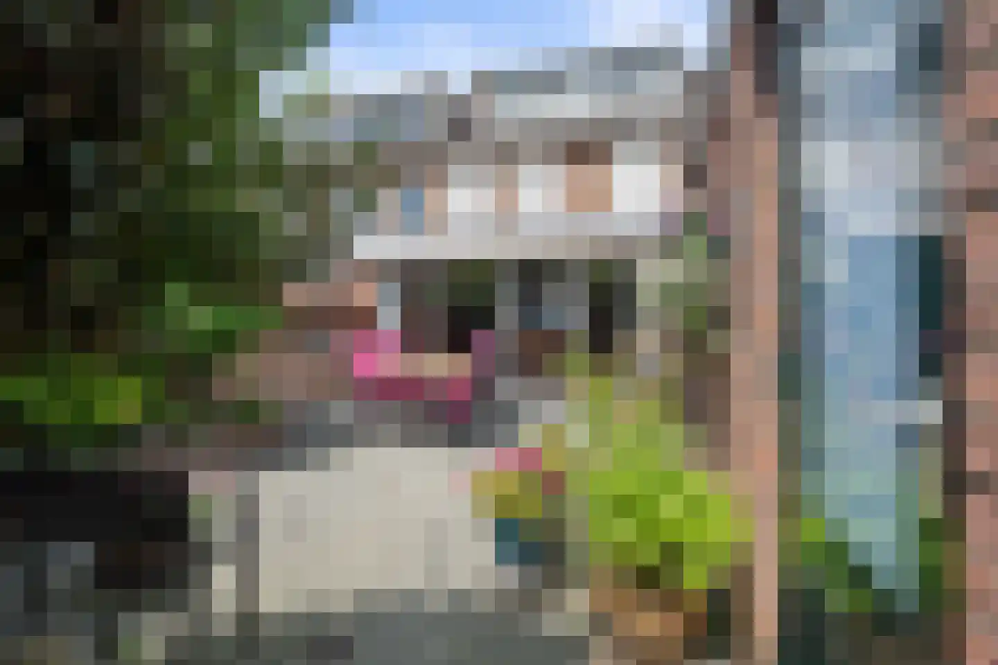 Adriaan Poortersstraat 41 Vught thumbnail 40