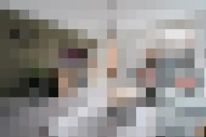 Adriaan Prinslaan 11 Spijkenisse thumbnail 13