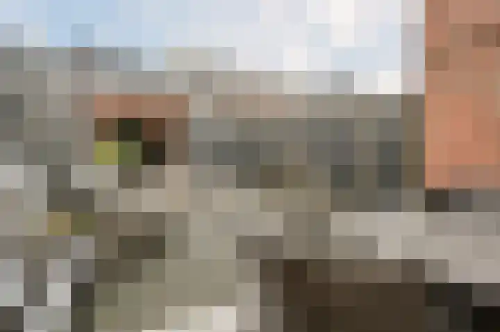 Adriaan Prinslaan 11 Spijkenisse thumbnail 14