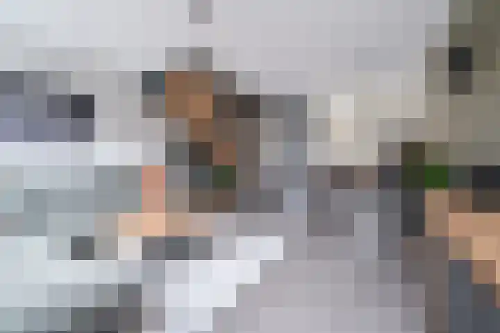 Adriaan Prinslaan 11 Spijkenisse thumbnail 16