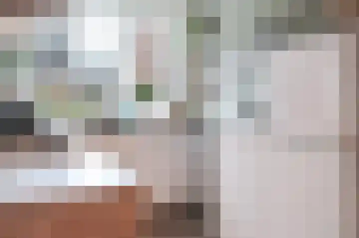 Adriaan Prinslaan 11 Spijkenisse thumbnail 18