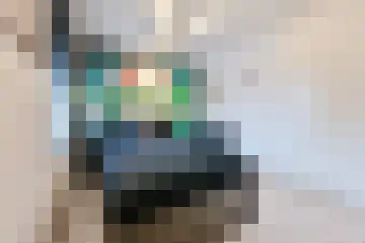 Adriaan Prinslaan 11 Spijkenisse thumbnail 21