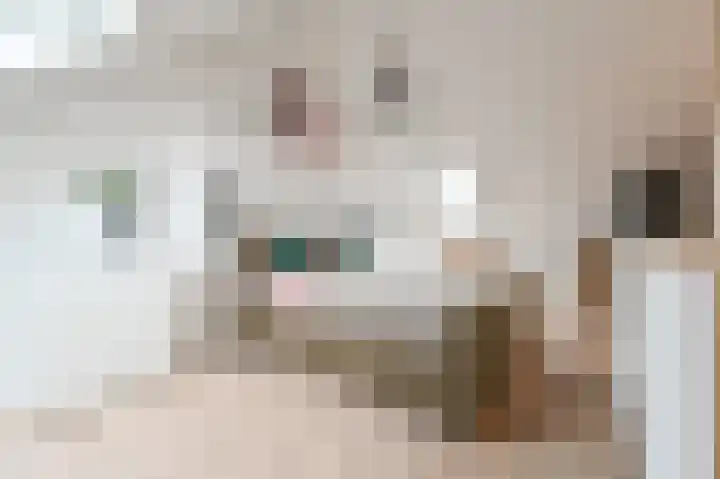 Adriaan Prinslaan 11 Spijkenisse thumbnail 28
