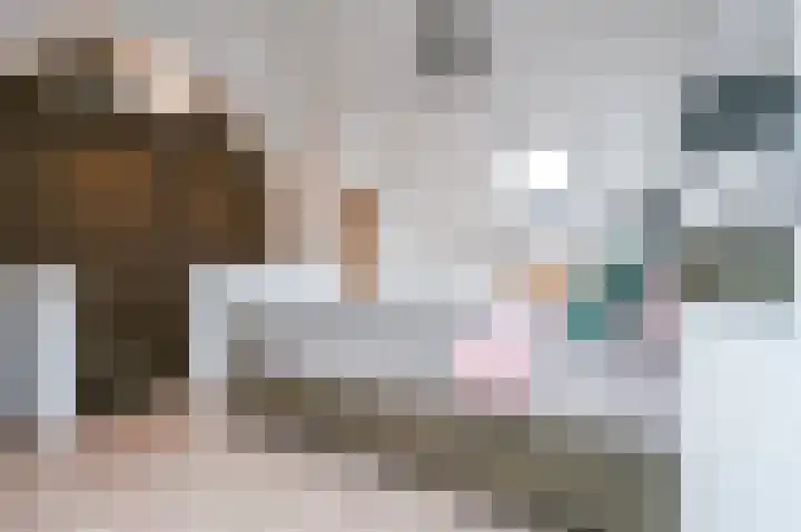 Adriaan Prinslaan 11 Spijkenisse thumbnail 29