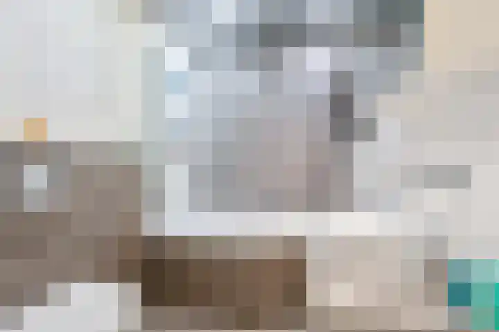 Adriaan Prinslaan 11 Spijkenisse thumbnail 4