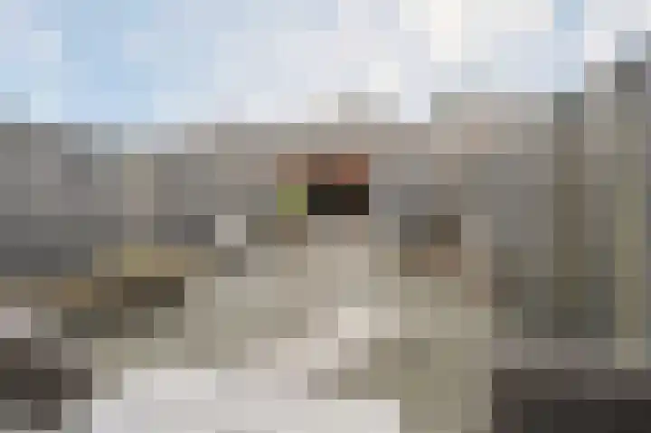 Adriaan Prinslaan 11 Spijkenisse thumbnail 5