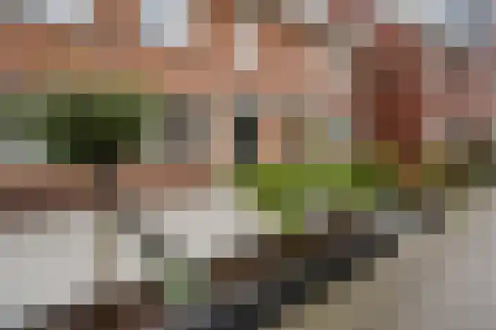Adriaan Prinslaan 11 Spijkenisse thumbnail 9