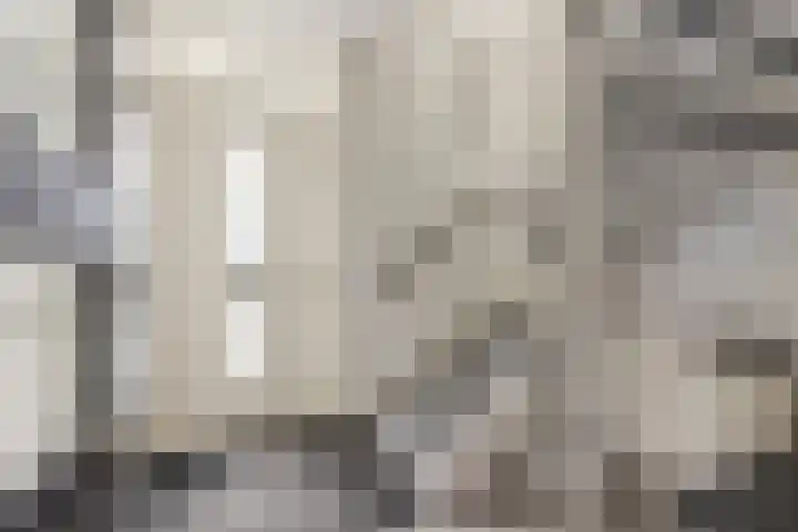 Adriaan Prinslaan 12 Spijkenisse thumbnail 11
