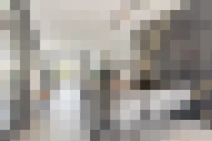 Adriaan Prinslaan 12 Spijkenisse thumbnail 13