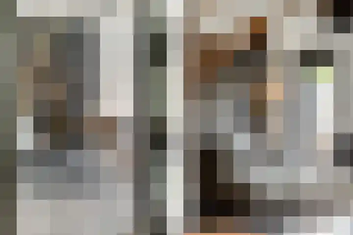 Adriaan Prinslaan 12 Spijkenisse thumbnail 14
