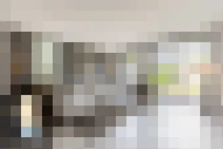 Adriaan Prinslaan 12 Spijkenisse thumbnail 15