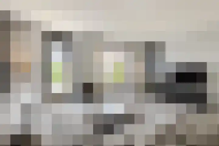 Adriaan Prinslaan 12 Spijkenisse thumbnail 16