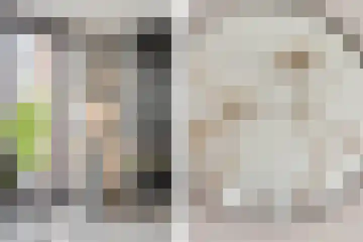 Adriaan Prinslaan 12 Spijkenisse thumbnail 17