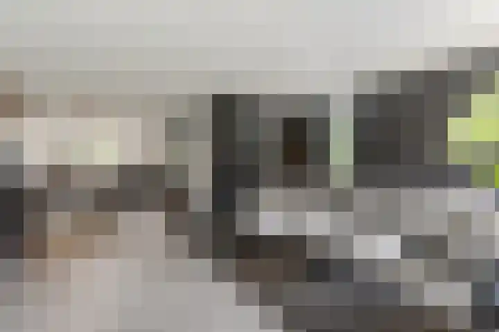 Adriaan Prinslaan 12 Spijkenisse thumbnail 18