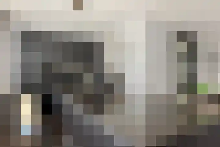 Adriaan Prinslaan 12 Spijkenisse thumbnail 20
