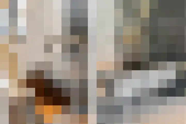 Adriaan Prinslaan 12 Spijkenisse thumbnail 21