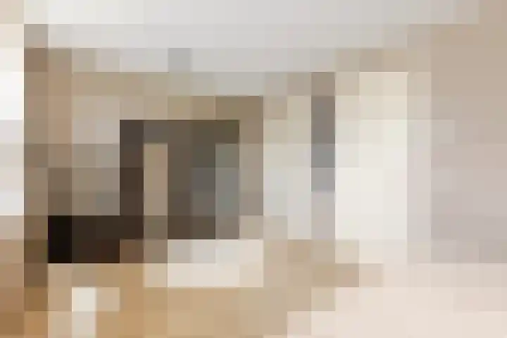 Adriaan Prinslaan 12 Spijkenisse thumbnail 27