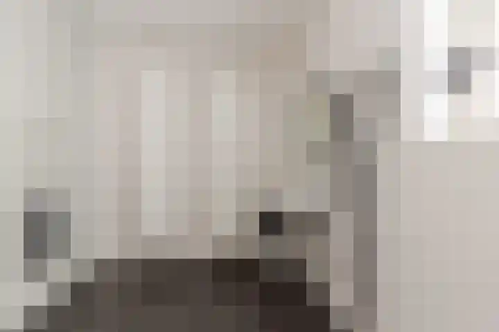 Adriaan Prinslaan 12 Spijkenisse thumbnail 31