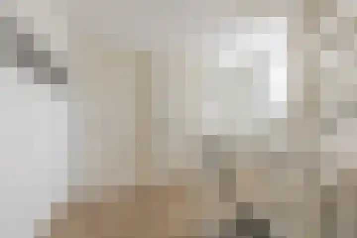 Adriaan Prinslaan 12 Spijkenisse thumbnail 32