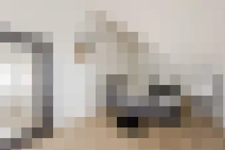 Adriaan Prinslaan 12 Spijkenisse thumbnail 35