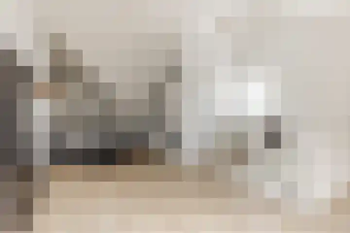 Adriaan Prinslaan 12 Spijkenisse thumbnail 36