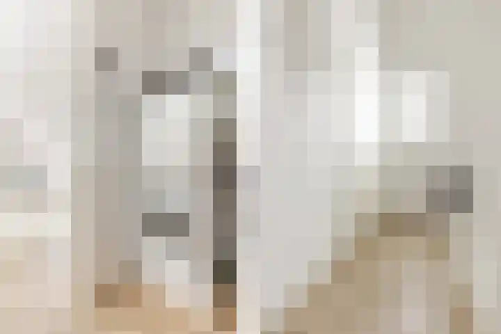Adriaan Prinslaan 12 Spijkenisse thumbnail 37