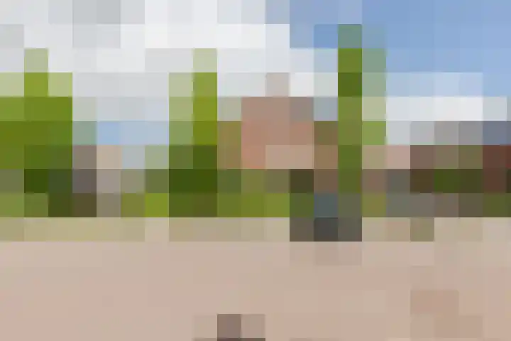 Adriaan Prinslaan 12 Spijkenisse thumbnail 39