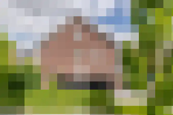 Adriaan Prinslaan 12 Spijkenisse thumbnail 40