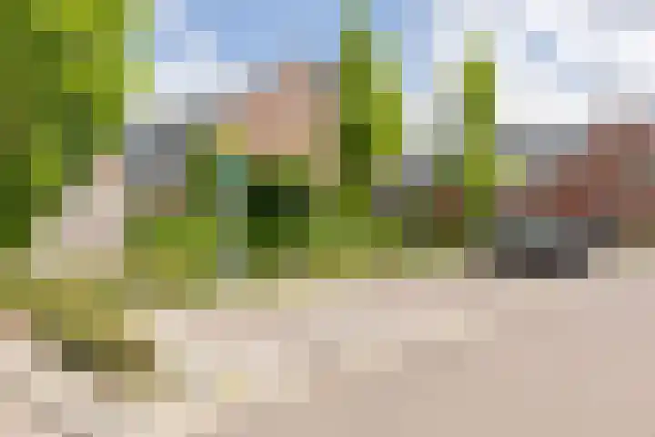 Adriaan Prinslaan 12 Spijkenisse thumbnail 41
