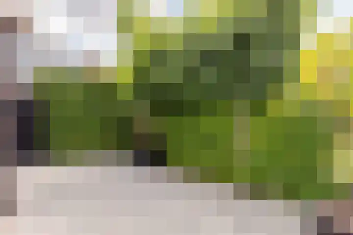 Adriaan Prinslaan 12 Spijkenisse thumbnail 43