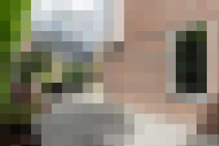 Adriaan Prinslaan 12 Spijkenisse thumbnail 44