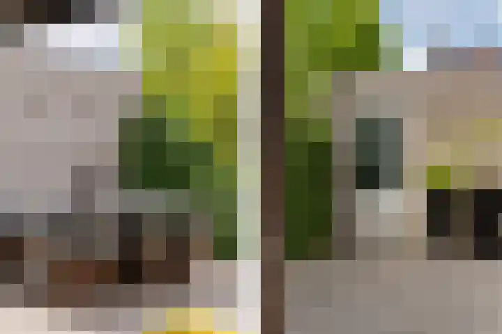 Adriaan Prinslaan 12 Spijkenisse thumbnail 45
