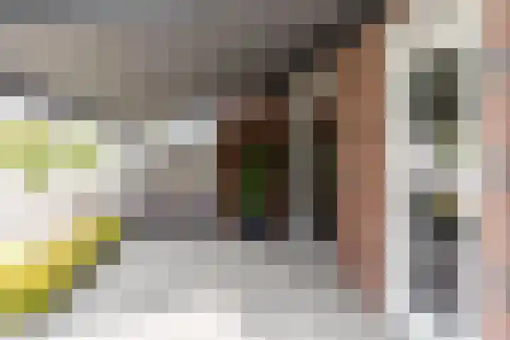 Adriaan Prinslaan 12 Spijkenisse thumbnail 49
