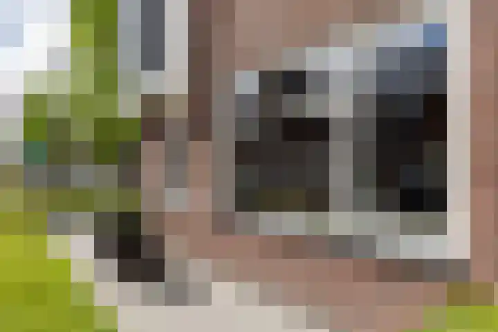 Adriaan Prinslaan 12 Spijkenisse thumbnail 6