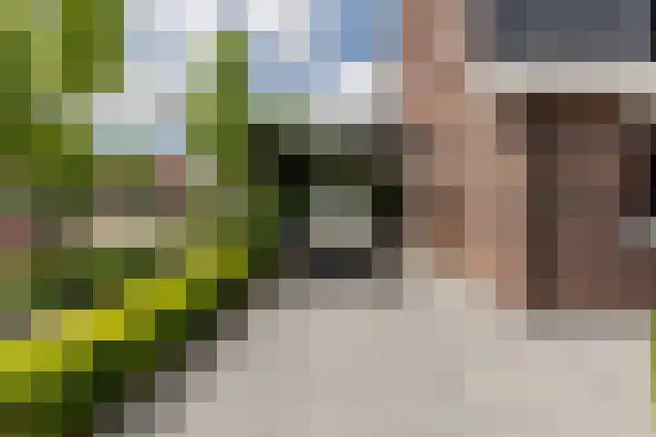 Adriaan Prinslaan 12 Spijkenisse thumbnail 7