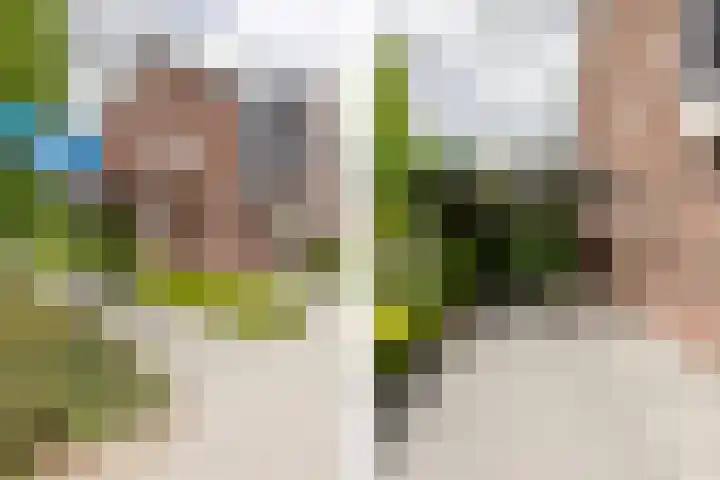 Adriaan Prinslaan 12 Spijkenisse thumbnail 8