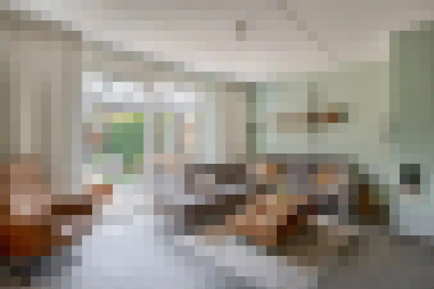 Adriaan Prinslaan 19 Spijkenisse thumbnail 13