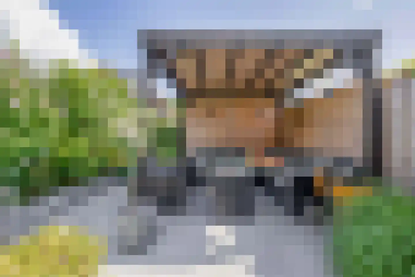 Adriaan Prinslaan 19 Spijkenisse thumbnail 27