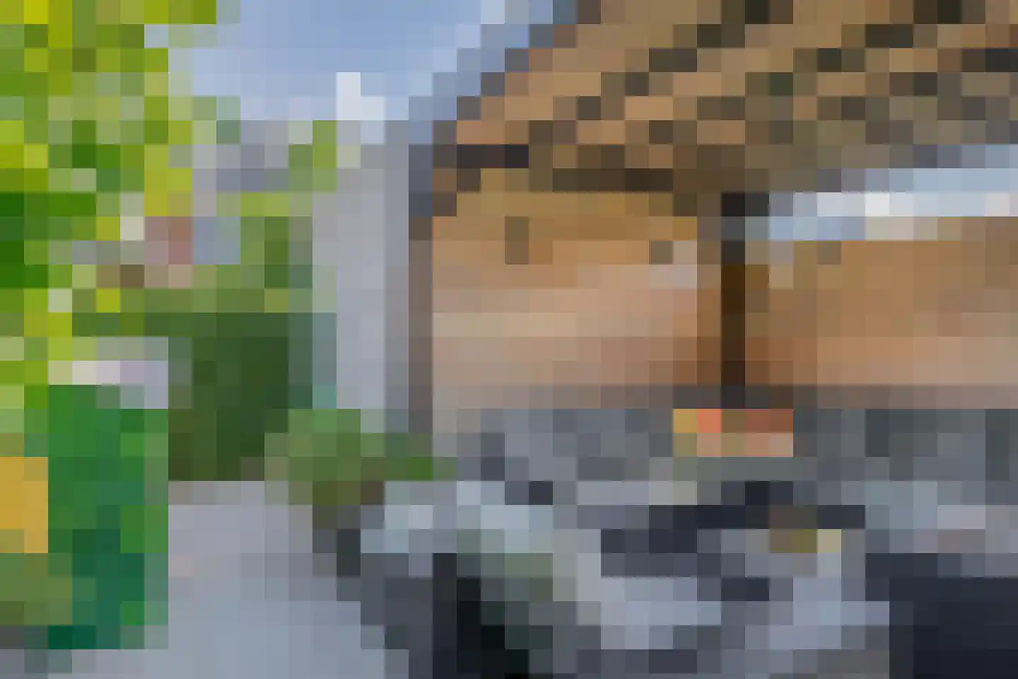 Adriaan Prinslaan 19 Spijkenisse thumbnail 29