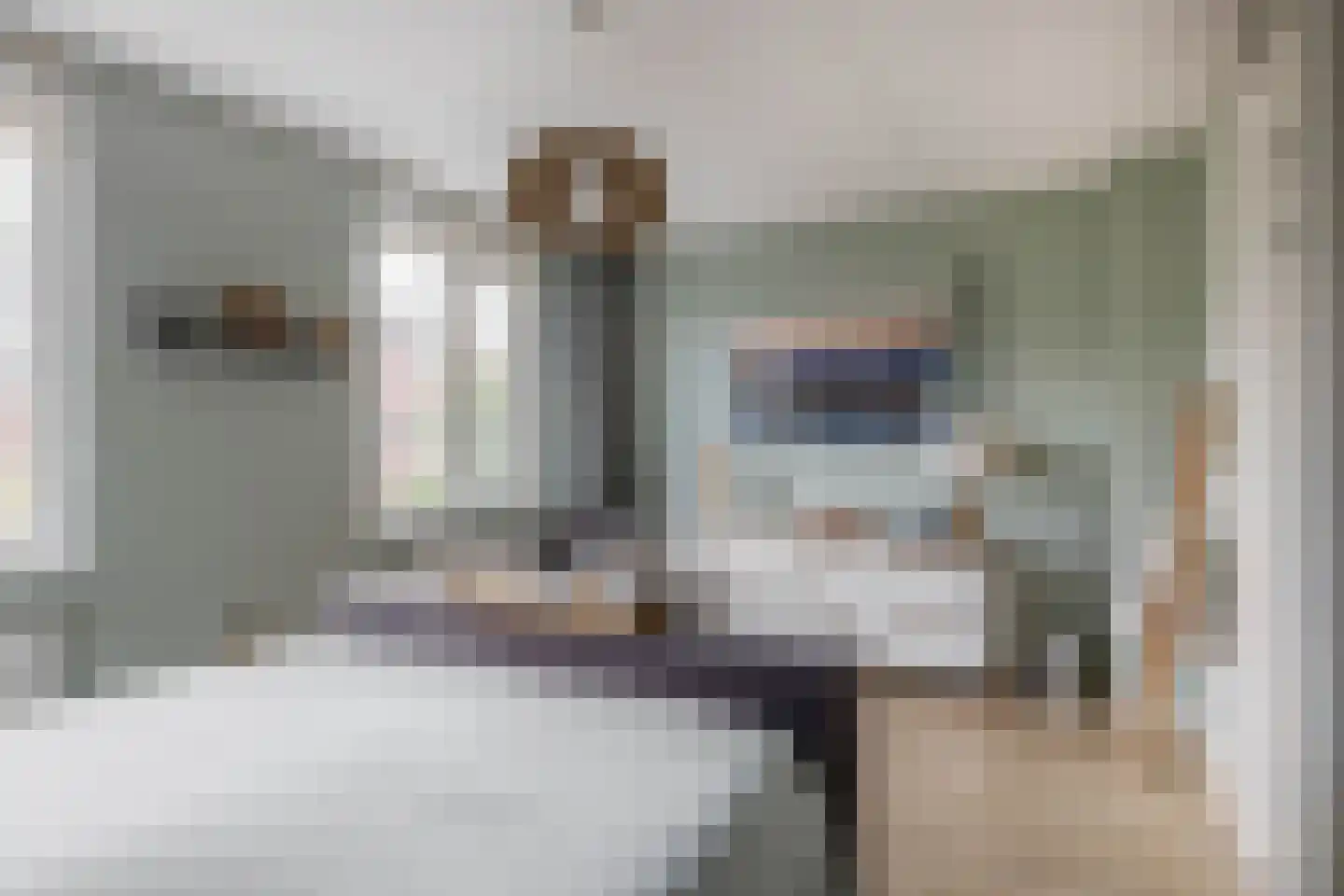 Adriaan Prinslaan 19 Spijkenisse thumbnail 39