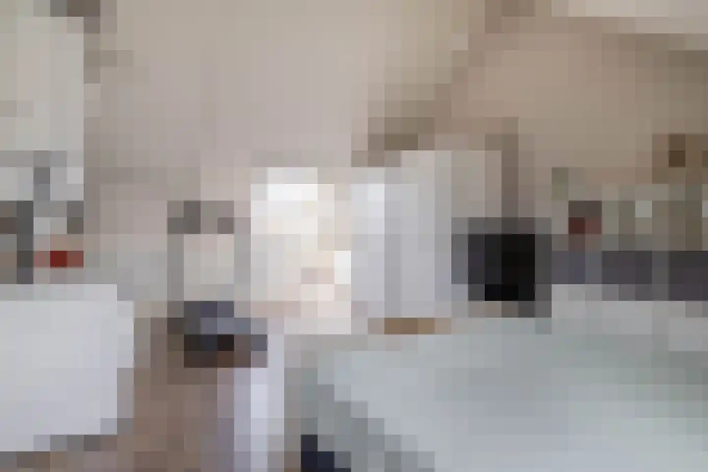 Adriaan Prinslaan 19 Spijkenisse thumbnail 46