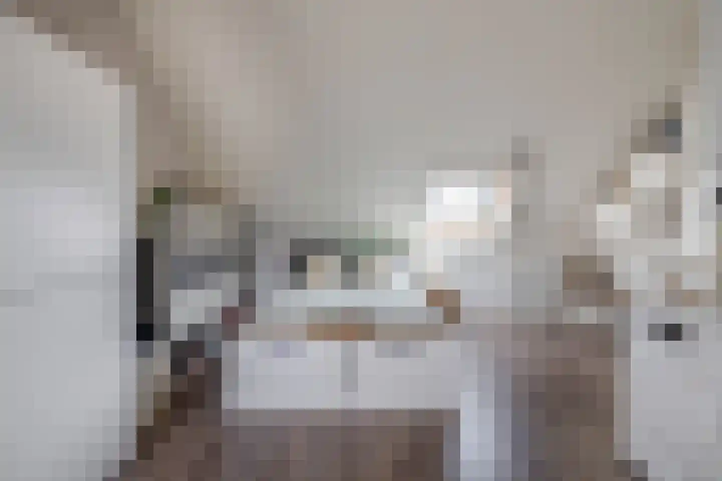 Adriaan Prinslaan 19 Spijkenisse thumbnail 48